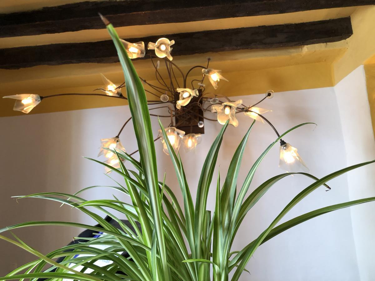 La Fructuosa Hotel Gaucín Kültér fotó